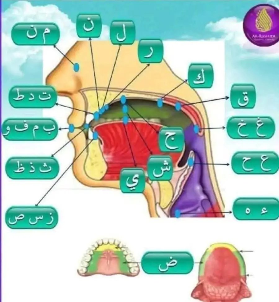 Rajah keratan kepala menunjukkan tempat keluar setiap huruf hijaiyah: bibir, gigi, lidah, lelangit, tekak dan hidung